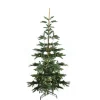 Pre-Lit Christmas Trees*Northlight Seasonal 7.5' Pre-Lit Nordmann Fir Artificial Christmas Tree - Warm Clear Led Lights