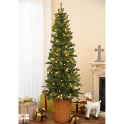 Pre-Lit Christmas Trees*The Holiday Aisle 6'5" Slender Green Realistic Artificial Fir Christmas Tree With 150 Led Lights
