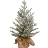 Pre-Lit Christmas Trees*The Holiday Aisle 2.5' White Fir Artificial Christmas Tree With 35 White Lights