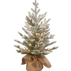 Pre-Lit Christmas Trees*The Holiday Aisle 2.5' White Fir Artificial Christmas Tree With 35 White Lights