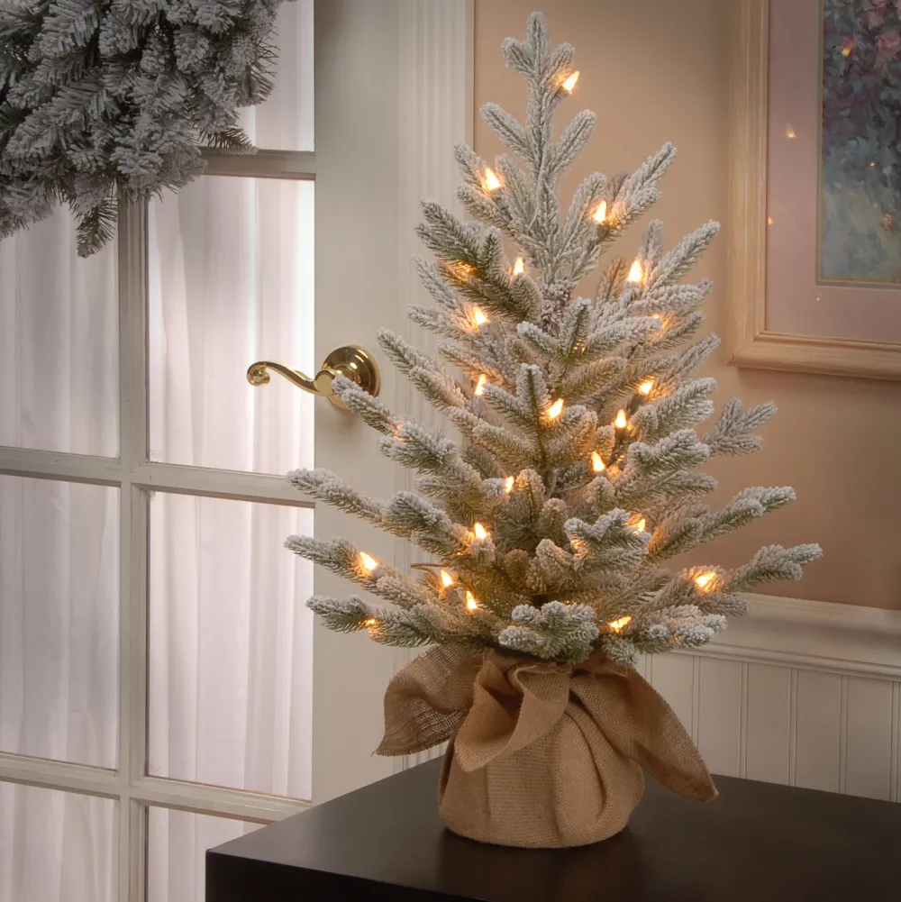 Pre-Lit Christmas Trees*The Holiday Aisle 2.5' White Fir Artificial Christmas Tree With 35 White Lights