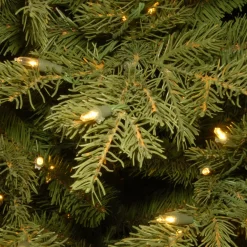 Pre-Lit Christmas Trees*The Holiday Aisle Adrihana 12' Green Artificial Christmas Tree With 1400 Clear/White Lights