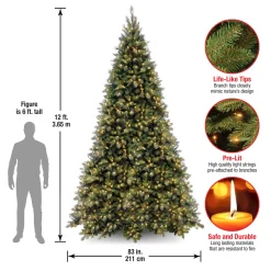 Pre-Lit Christmas Trees*The Holiday Aisle Adrihana 12' Green Artificial Christmas Tree With 1400 Clear/White Lights