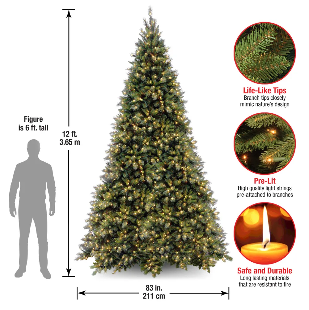 Pre-Lit Christmas Trees*The Holiday Aisle Adrihana 12' Green Artificial Christmas Tree With 1400 Clear/White Lights