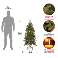 Pre-Lit Christmas Trees*The Holiday Aisle Adrihana Slender Green Christmas Tree Realistic Artificial Fir Cashmere Christmas Tree