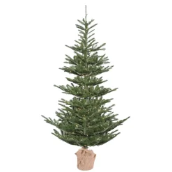 Pre-Lit Christmas Trees*The Holiday Aisle Alberta Spruce Artificial Christmas Tree