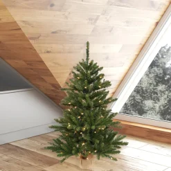 Pre-Lit Christmas Trees*The Holiday Aisle Anoka Pine 3' Green Pine Artificial Christmas Tree With 100 Clear/White Lights