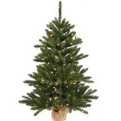 Pre-Lit Christmas Trees*The Holiday Aisle Anoka Pine 3' Green Pine Artificial Christmas Tree With 100 Clear/White Lights