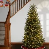 Pre-Lit Christmas Trees*Red Barrel Studio Baldrik Green Artificial Christmas Tree With 600 Clear/White Lights