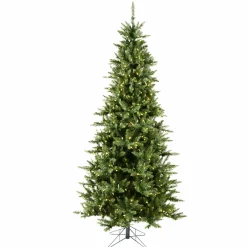 Pre-Lit Christmas Trees*The Holiday Aisle Beardstown Fir 7.5' Green Artificial Slim Christmas Tree With 585 Led Warm White Lights