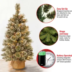 Pre-Lit Christmas Trees*The Holiday Aisle Benjamin-James 3' H Green Pine Artificial Pine Flocked/Frosted Christmas Tree With 35 Lights And Pinecones