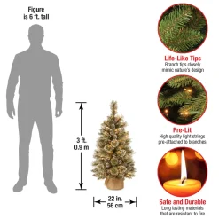 Pre-Lit Christmas Trees*The Holiday Aisle Benjamin-James 3' H Green Pine Artificial Pine Flocked/Frosted Christmas Tree With 35 Lights And Pinecones