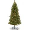 Pre-Lit Christmas Trees*The Holiday Aisle Canadian Fir 6' Green Artificial Christmas Tree With 200 Clear/White Lights