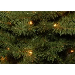 Pre-Lit Christmas Trees*The Holiday Aisle Canadian Fir 6' Green Artificial Christmas Tree With 200 Clear/White Lights