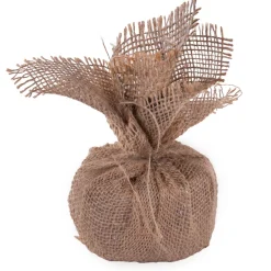 Pre-Lit Christmas Trees*Sand & Stable Carmel Pine Artificial Christmas Tabletop Tree