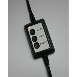 Pre-Lit Christmas Trees*The Holiday Aisle Carmel Slim Green Pine Trees Artificial Christmas Tree With 550 With Colored And White Led String Lights