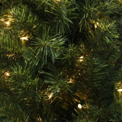 Pre-Lit Christmas Trees*The Holiday Aisle Douglas 6' Green Fir Artificial Christmas Tree With 150 Clear/White Lights