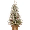 Pre-Lit Christmas Trees*The Holiday Aisle Dunhill Fir 3' Green Artificial Christmas Tree With 35 Clear/White Lights