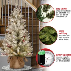 Pre-Lit Christmas Trees*The Holiday Aisle Dunhill Fir 3' Green Artificial Christmas Tree With 35 Clear/White Lights