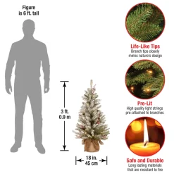 Pre-Lit Christmas Trees*The Holiday Aisle Dunhill Fir 3' Green Artificial Christmas Tree With 35 Clear/White Lights