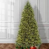 Pre-Lit Christmas Trees*Gracie Oaks Dunhill Fir 10' H Green Christmas Tree With 1200 Led Lights