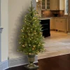 Pre-Lit Christmas Trees*Charlton Home Dunhill Fir 4' H Green Fir Christmas Tree With 70 Lights