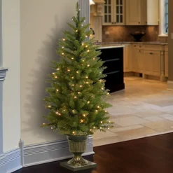 Pre-Lit Christmas Trees*Charlton Home Dunhill Fir 4' H Green Fir Christmas Tree With 70 Lights