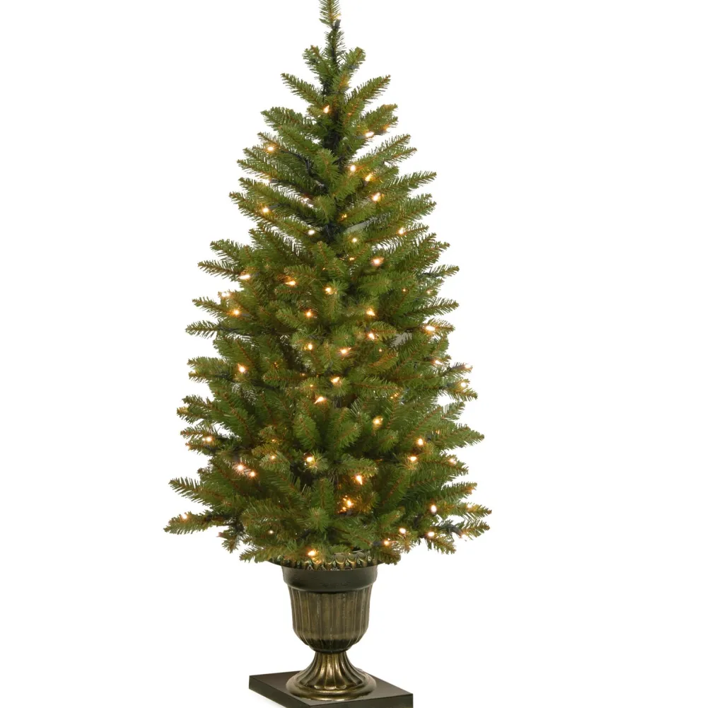Pre-Lit Christmas Trees*Charlton Home Dunhill Fir 4' H Green Fir Christmas Tree With 70 Lights