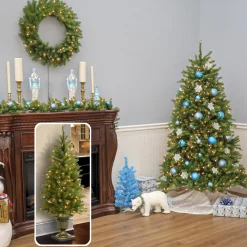 Pre-Lit Christmas Trees*Charlton Home Dunhill Fir 4' H Green Fir Christmas Tree With 70 Lights