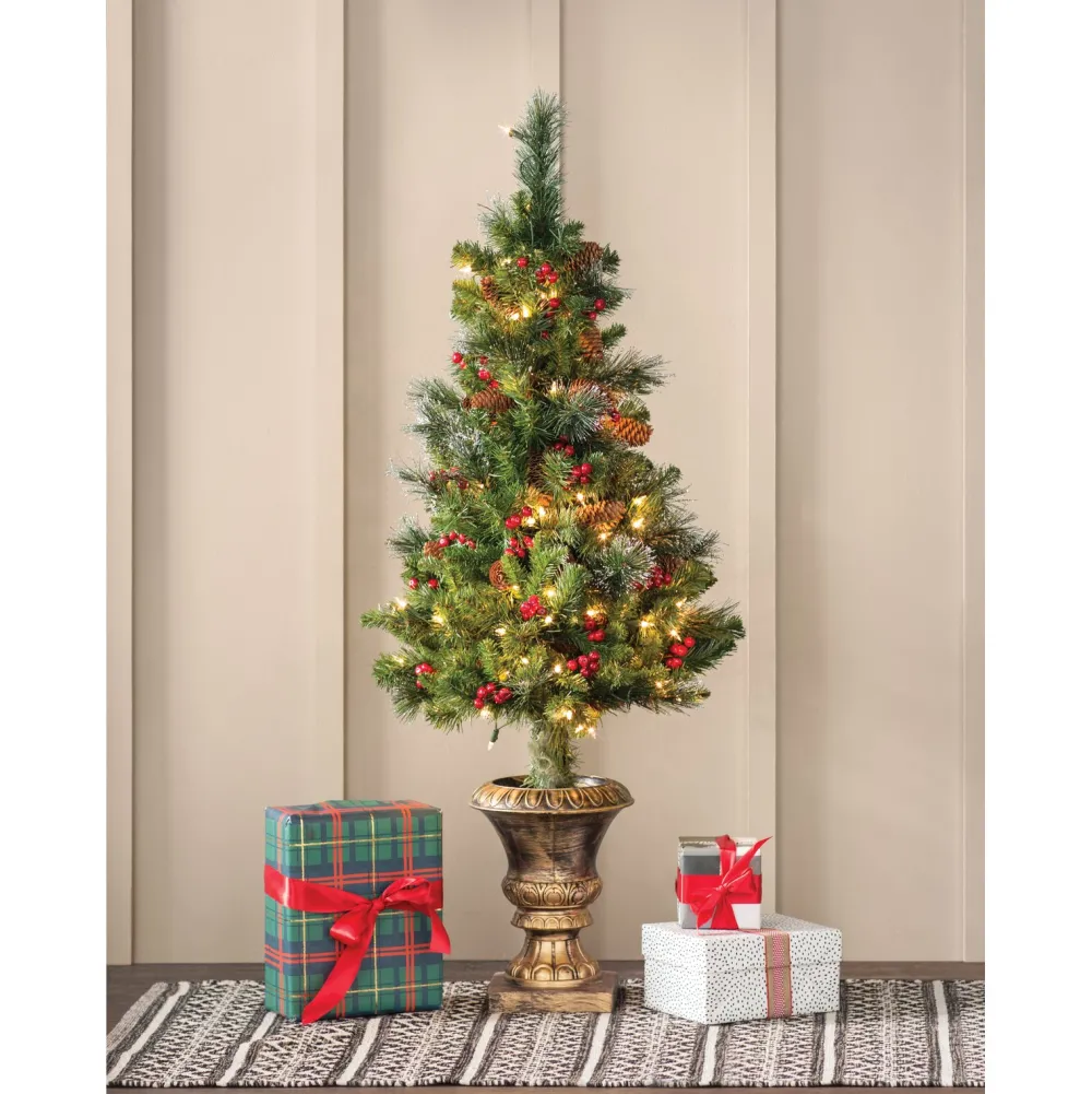 Pre-Lit Christmas Trees*Charlton Home Dunhill Fir 4' H Green Fir Christmas Tree With 70 Lights