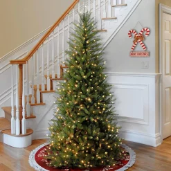 Pre-Lit Christmas Trees*The Holiday Aisle Dunhill Fir 6'6'' H Slender Green Realistic Artificial Fir Christmas Tree With 500 Lights