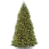 Pre-Lit Christmas Trees*Hashtag Home Dunhill Fir Green Artificial Christmas Tree
