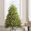 Pre-Lit Christmas Trees*The Holiday Aisle Dunhill Fir Lighted Artificial Fir Christmas Tree