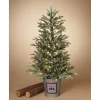 Pre-Lit Christmas Trees*The Holiday Aisle Electric 4' Green Pine Artificial Christmas Tree With 100 Clear/White Lights