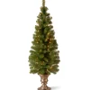 Pre-Lit Christmas Trees*The Twillery Co. Entryway 5' Green Spruce Christmas Tree With 100 Clear/White Lights