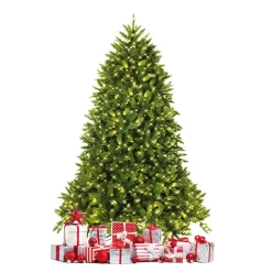 Pre-Lit Christmas Trees*The Holiday Aisle Extra Full Green Realistic Artificial Fir Christmas Tree With 650 Led Lights