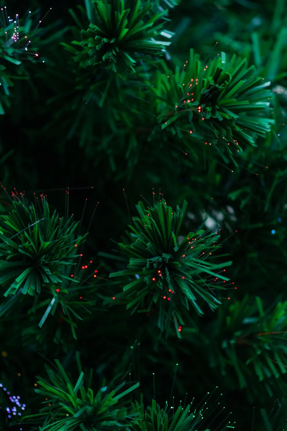 Pre-Lit Christmas Trees*The Holiday Aisle Fiber Optic 72" Green Pine Artificial Christmas Tree With Multi-Colored Lights With Stand