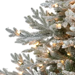 Pre-Lit Christmas Trees*The Holiday Aisle Flocked Fir Artificial Christmas Tree With Clear Lights