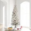 Pre-Lit Christmas Trees*The Holiday Aisle Flocked Pacific Pencil Pine Artificial Christmas Tree
