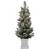 Pre-Lit Christmas Trees*The Holiday Aisle 4-Foot Pre-Lit And Flocked Artificial Christmas Tree With Decorative Berries And 50 Lights