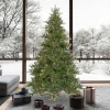 Pre-Lit Christmas Trees*Andover Mills Galarza 9' Green Pine Artificial Christmas Tree With 1100 Warm Clear/White Lights