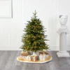 Pre-Lit Christmas Trees*The Holiday Aisle Green Artificial Fir Feather Christmas Tree With Led Lights