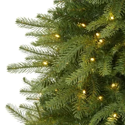 Pre-Lit Christmas Trees*The Holiday Aisle Green Artificial Fir Feather Christmas Tree With Led Lights