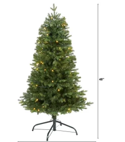 Pre-Lit Christmas Trees*The Holiday Aisle Green Artificial Realistic Fir Feather Christmas Tree With Led Steady/Constant Lights