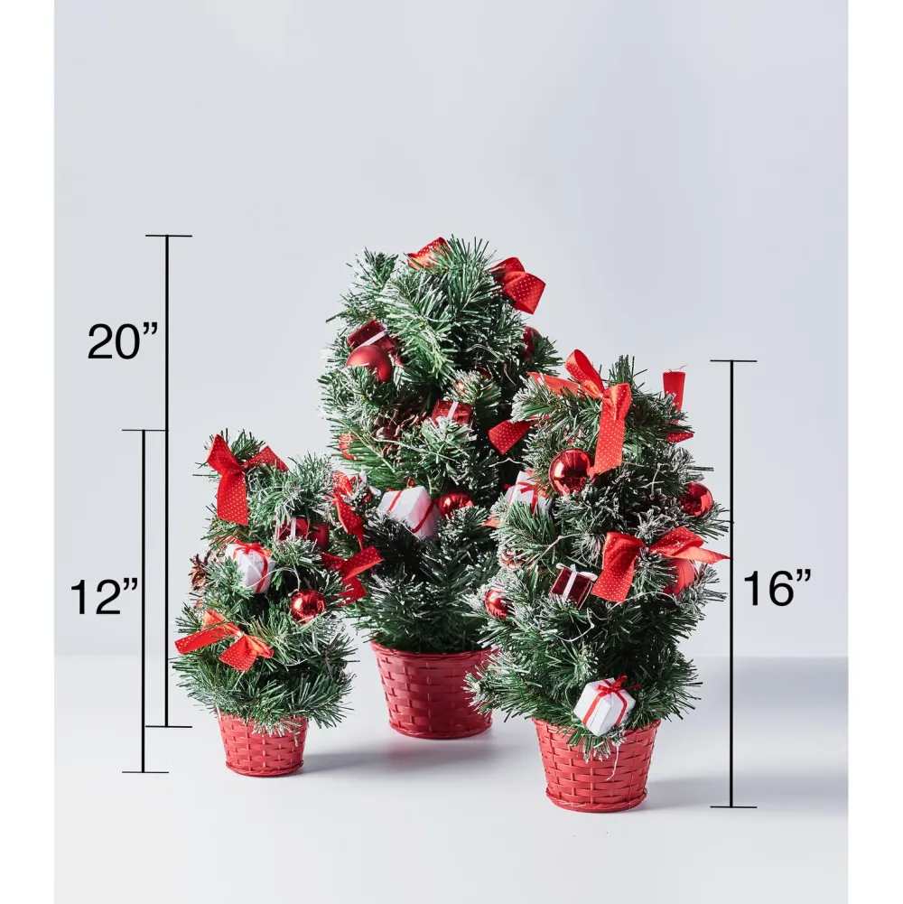 Pre-Lit Christmas Trees*The Holiday Aisle Green Fir Artificial Christmas Tree With 20 Clear Lights