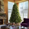 Pre-Lit Christmas Trees*The Holiday Aisle Green Pine Cashmere Pine Artificial Christmas Tree