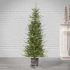 Pre-Lit Christmas Trees*Sand & Stable Green Realistic Artificial Pine Christmas Tree With Lights
