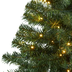 Pre-Lit Christmas Trees*The Holiday Aisle Green Tree Type Fir Cashmere Christmas Tree With 650 Lights Led