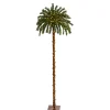 Pre-Lit Christmas Trees*The Holiday Aisle Green Tropical Feather Christmas Tree With Led Lights