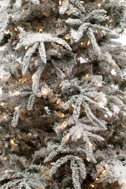 Pre-Lit Christmas Trees*Kelly Clarkson Home Green/White Realistic Artificial Pine Flocked/Frosted Christmas Tree With Lights